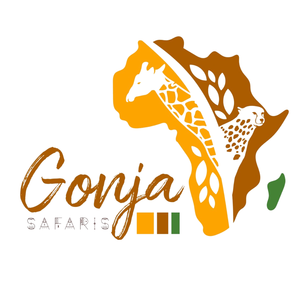 Gonja Safaris