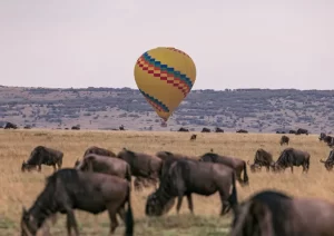 Read more about the article Hot air balloon rides in Masai Mara