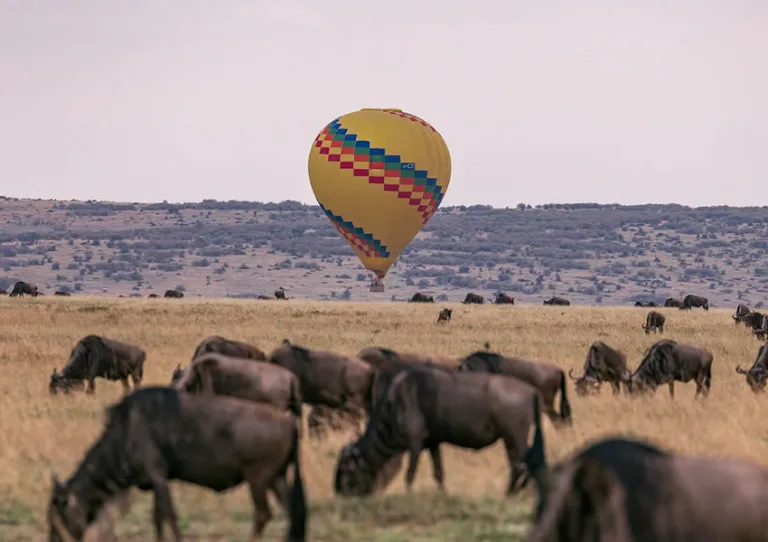 Hot air balloon rides in Masai Mara
