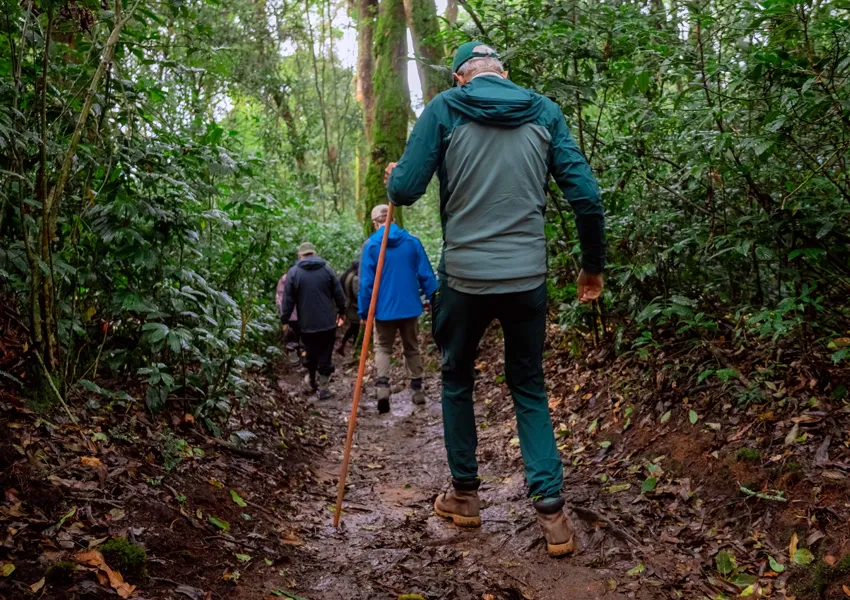 Trails and Nature Walks in Nyungwe Forest